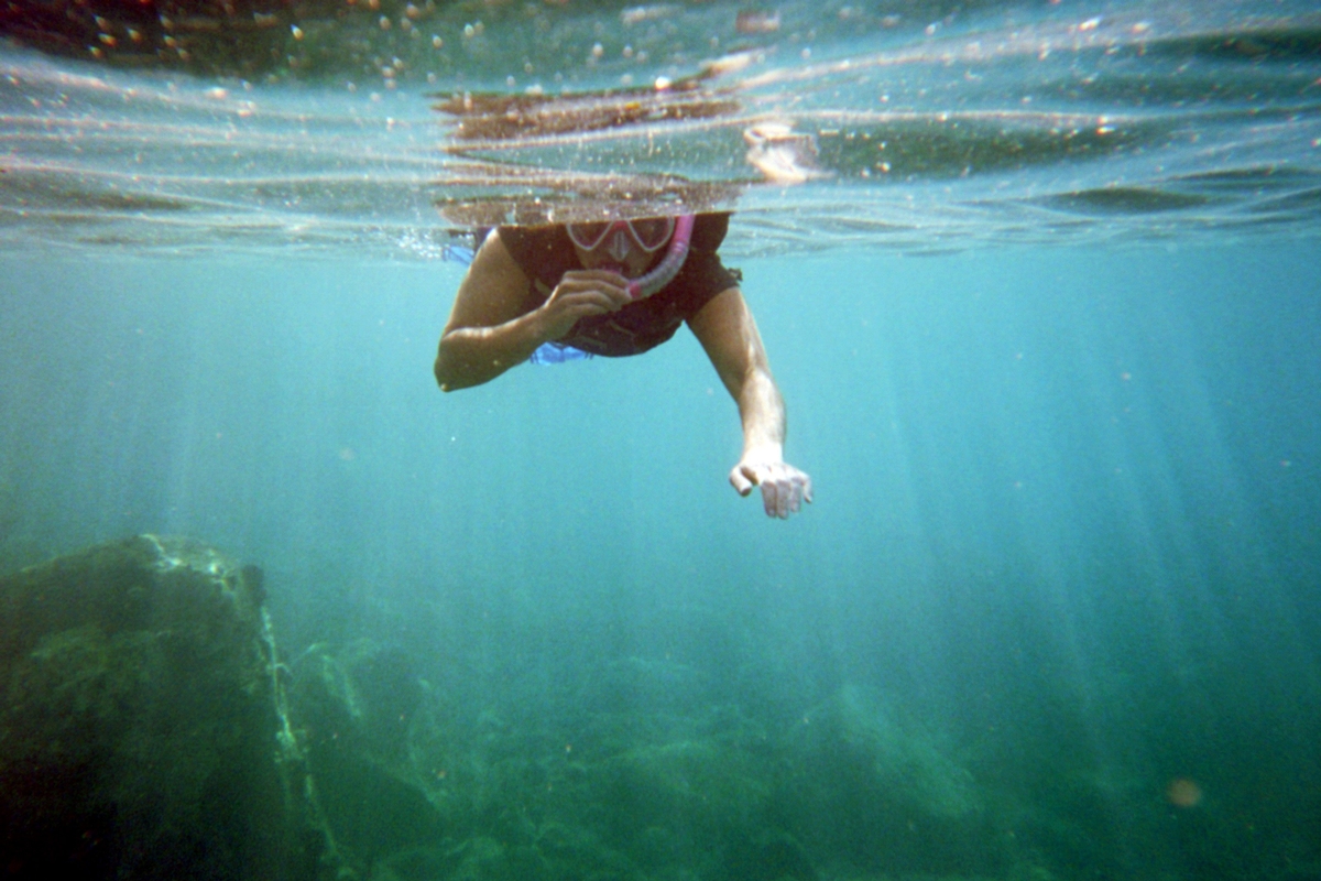 Snorkeling off the coast of Maui....