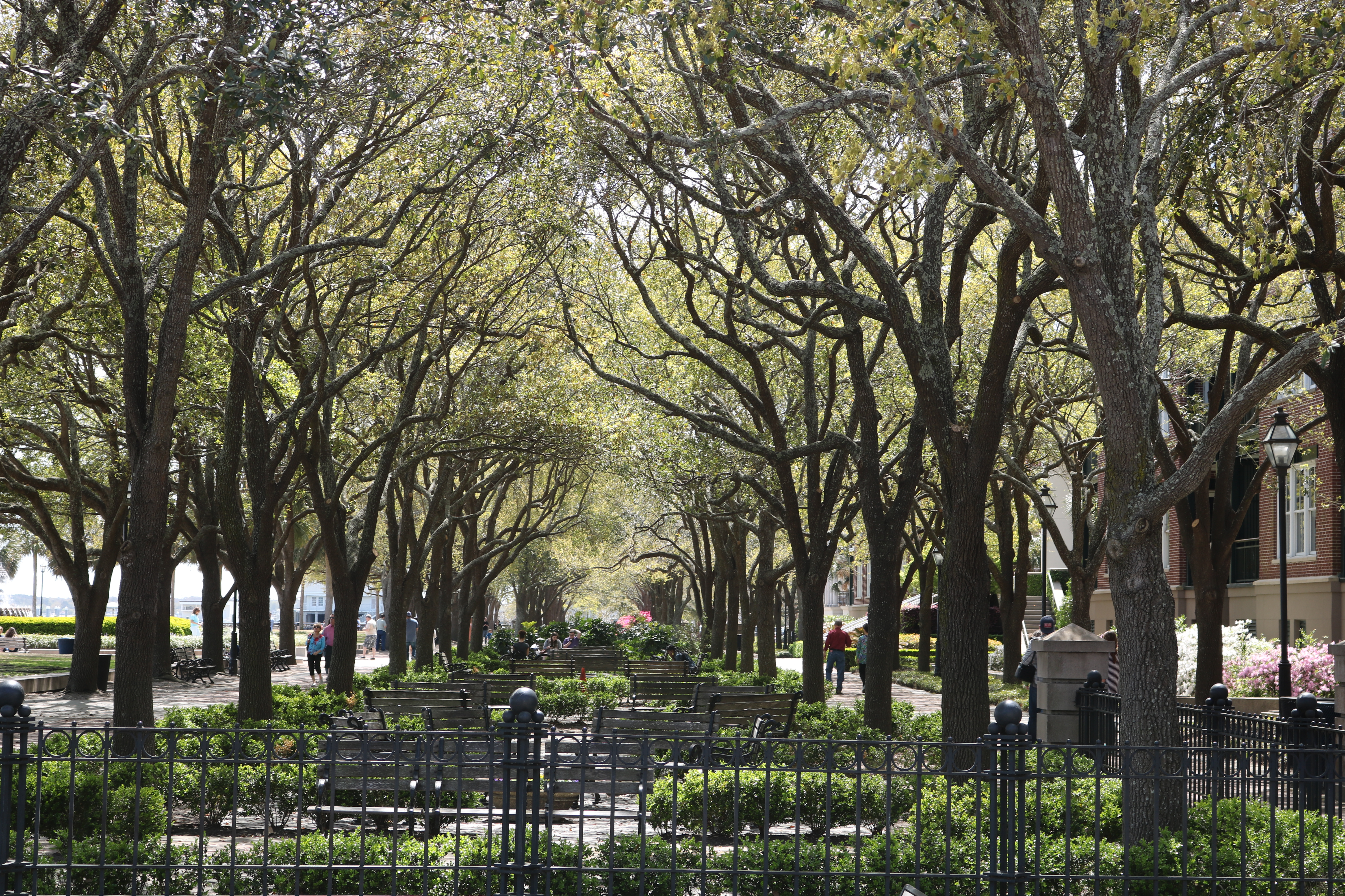 Charleston in Spring...