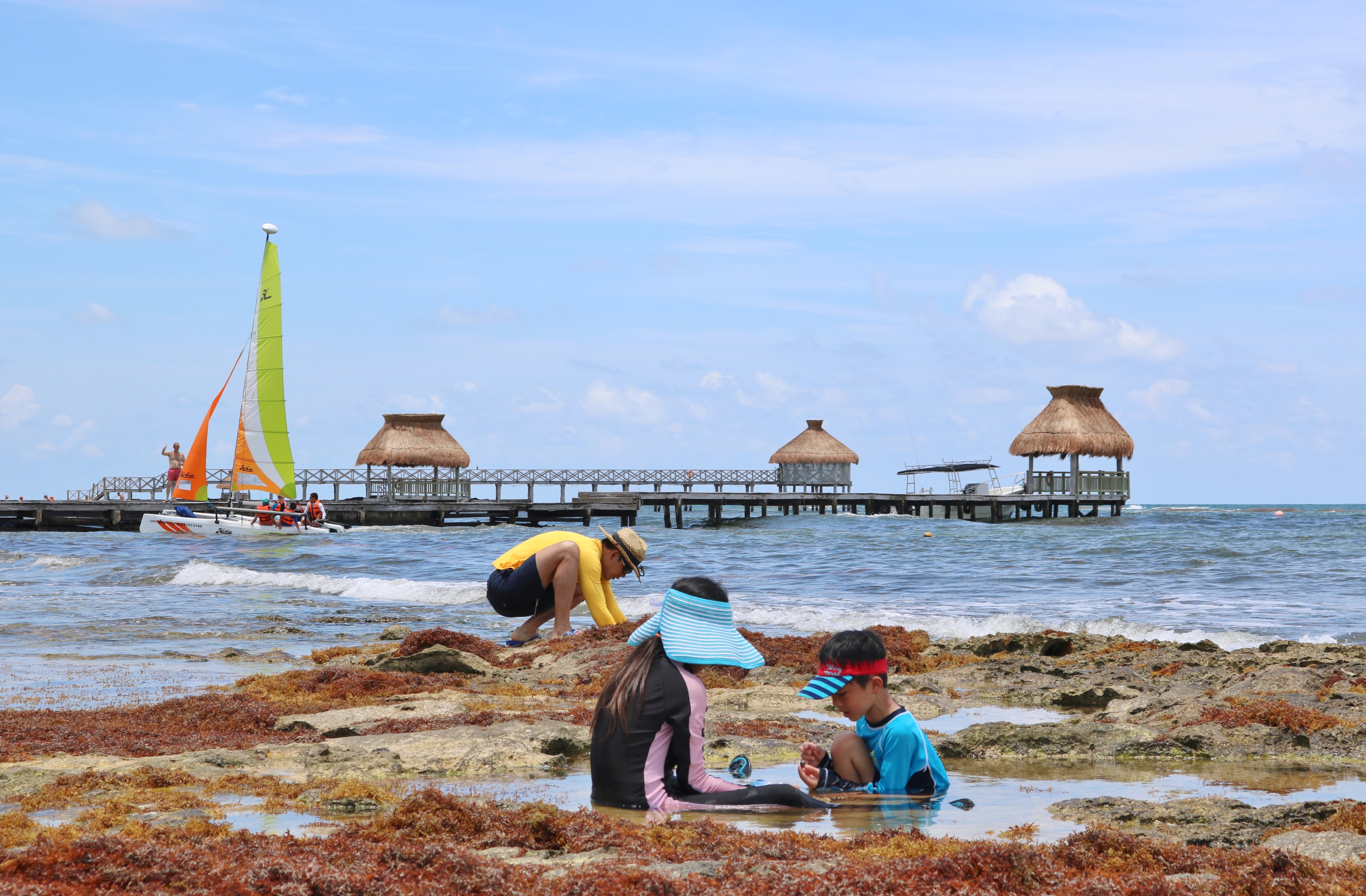 Playing at the beach - we found hermit crabs and l...