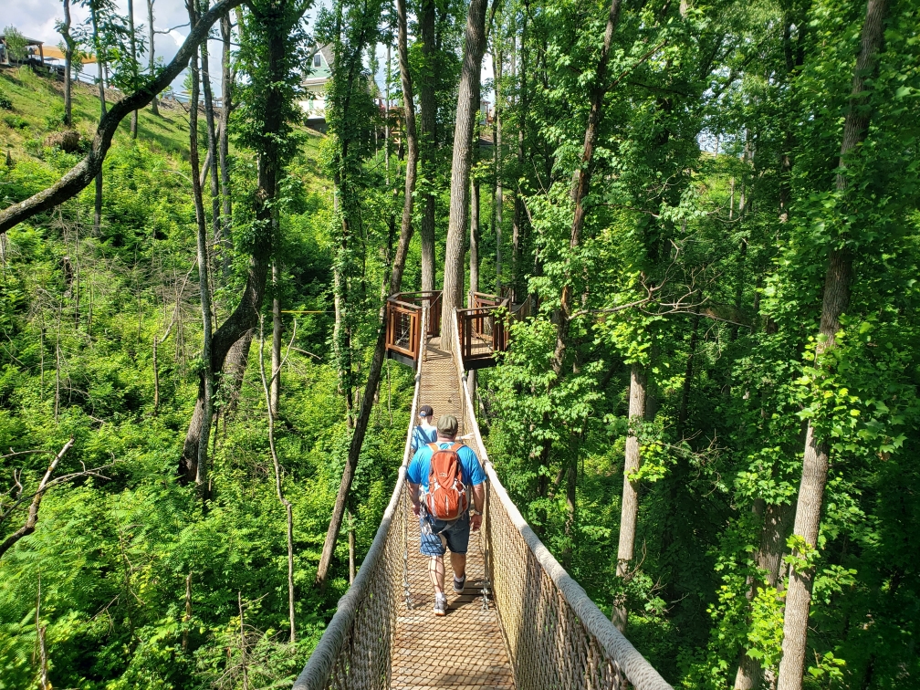 Fun in the trees above Gatlinburg,...