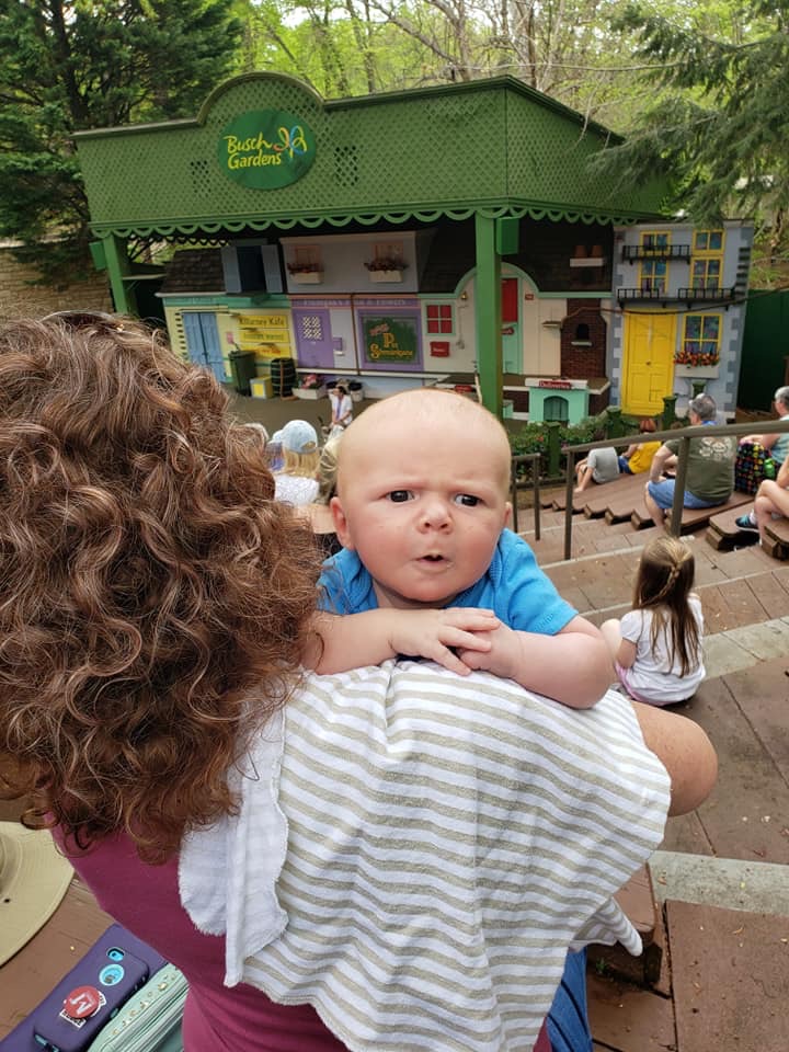 My grandson 's face after he saw all the animals i...