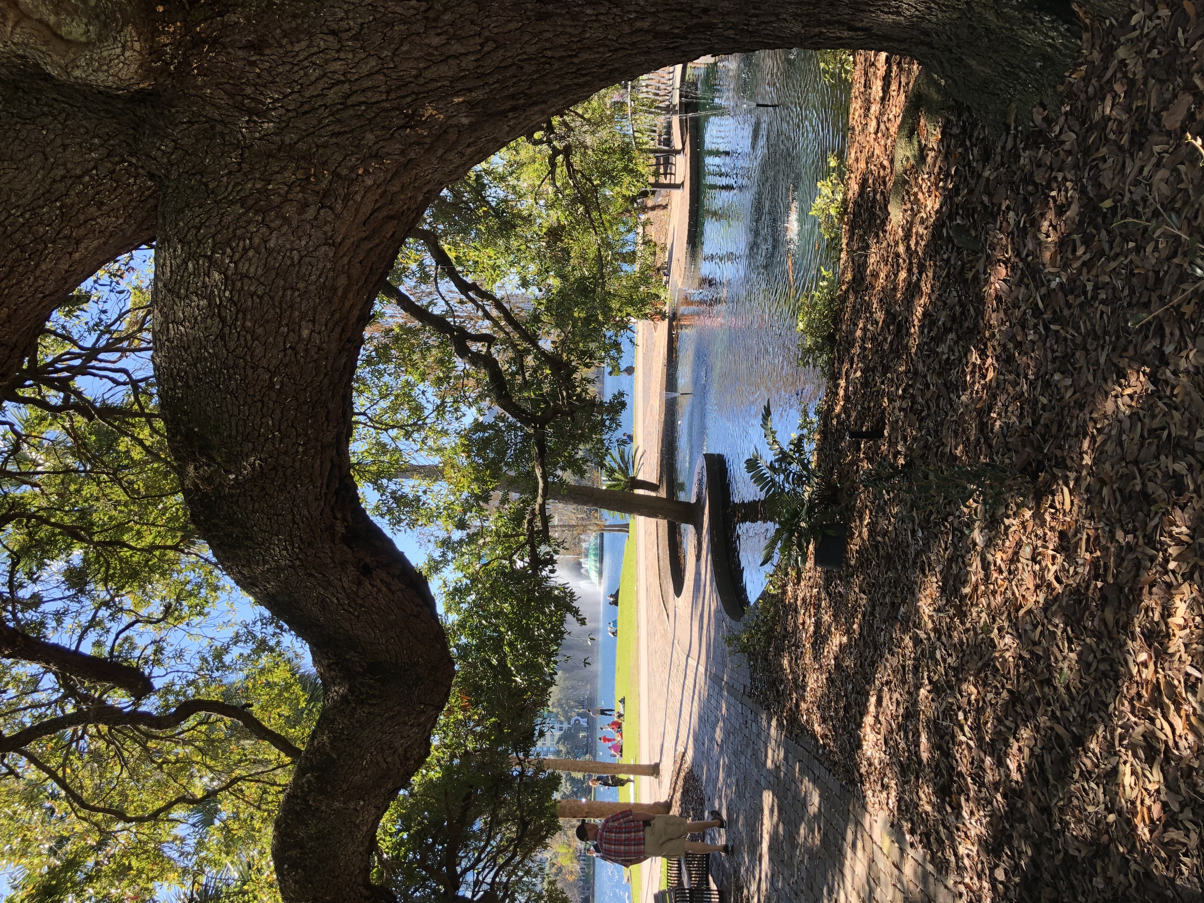 My husband strolling along the path at Lake Eola i...