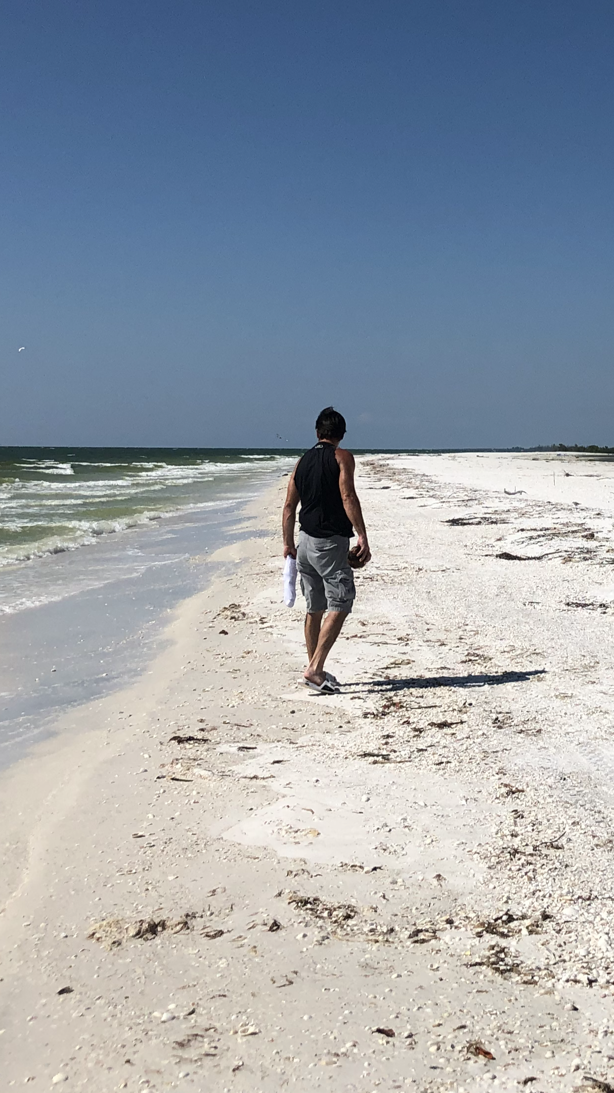 Looking for shells after kayaking to the island at...