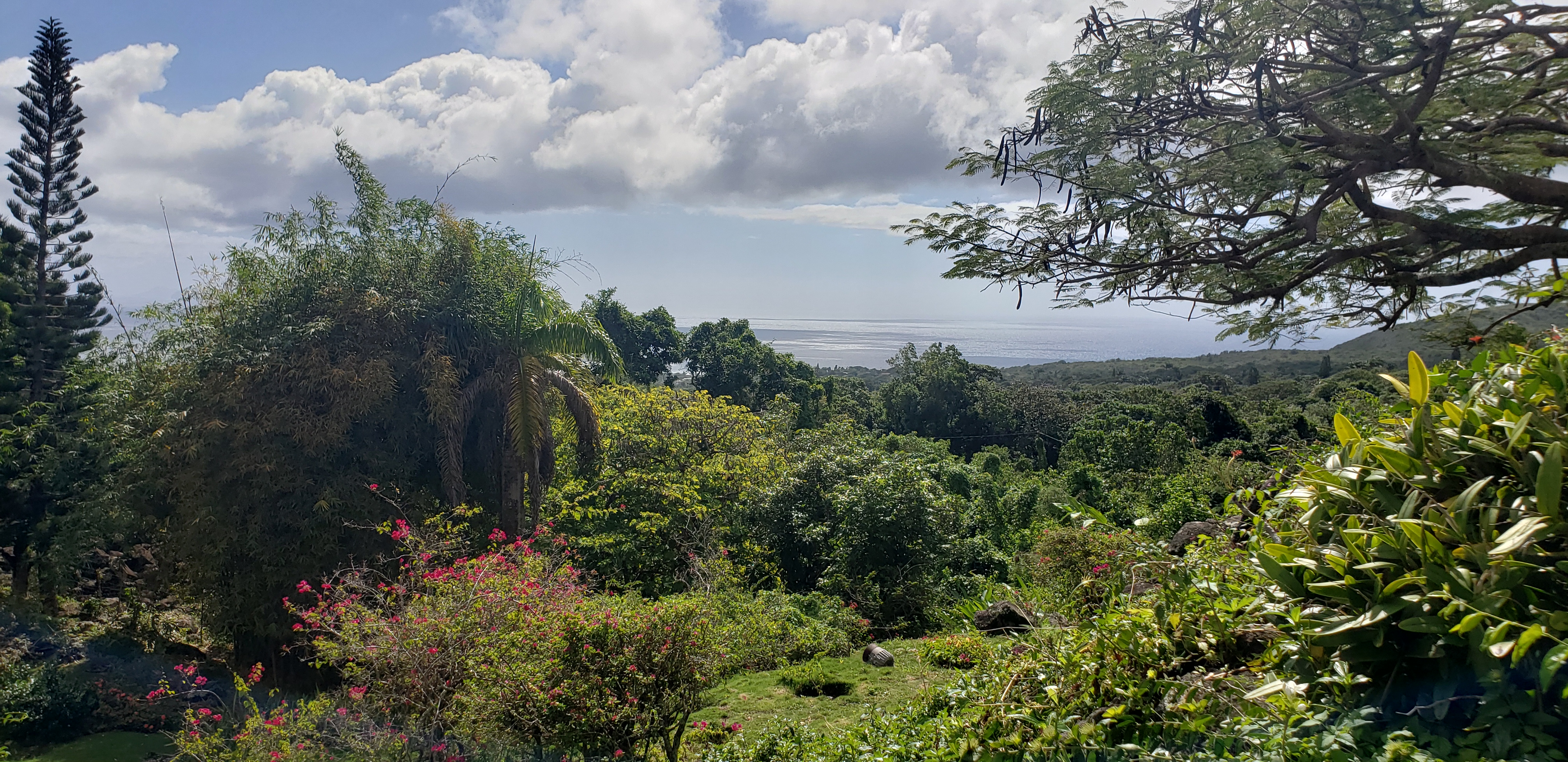 Monkey Rock - Nevis is gorgeous! Each morning we w...
