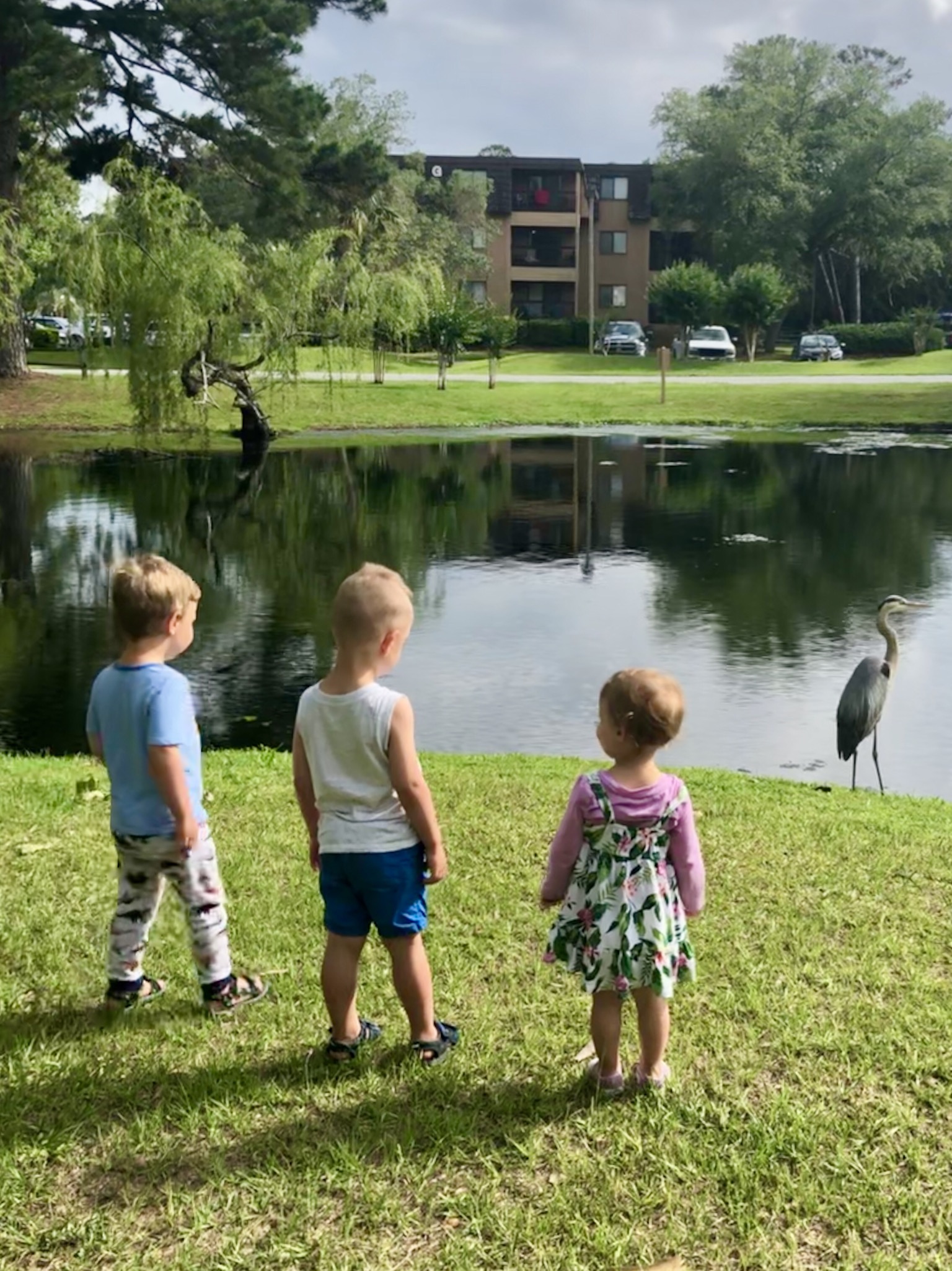 Bird watching up close and personal!...