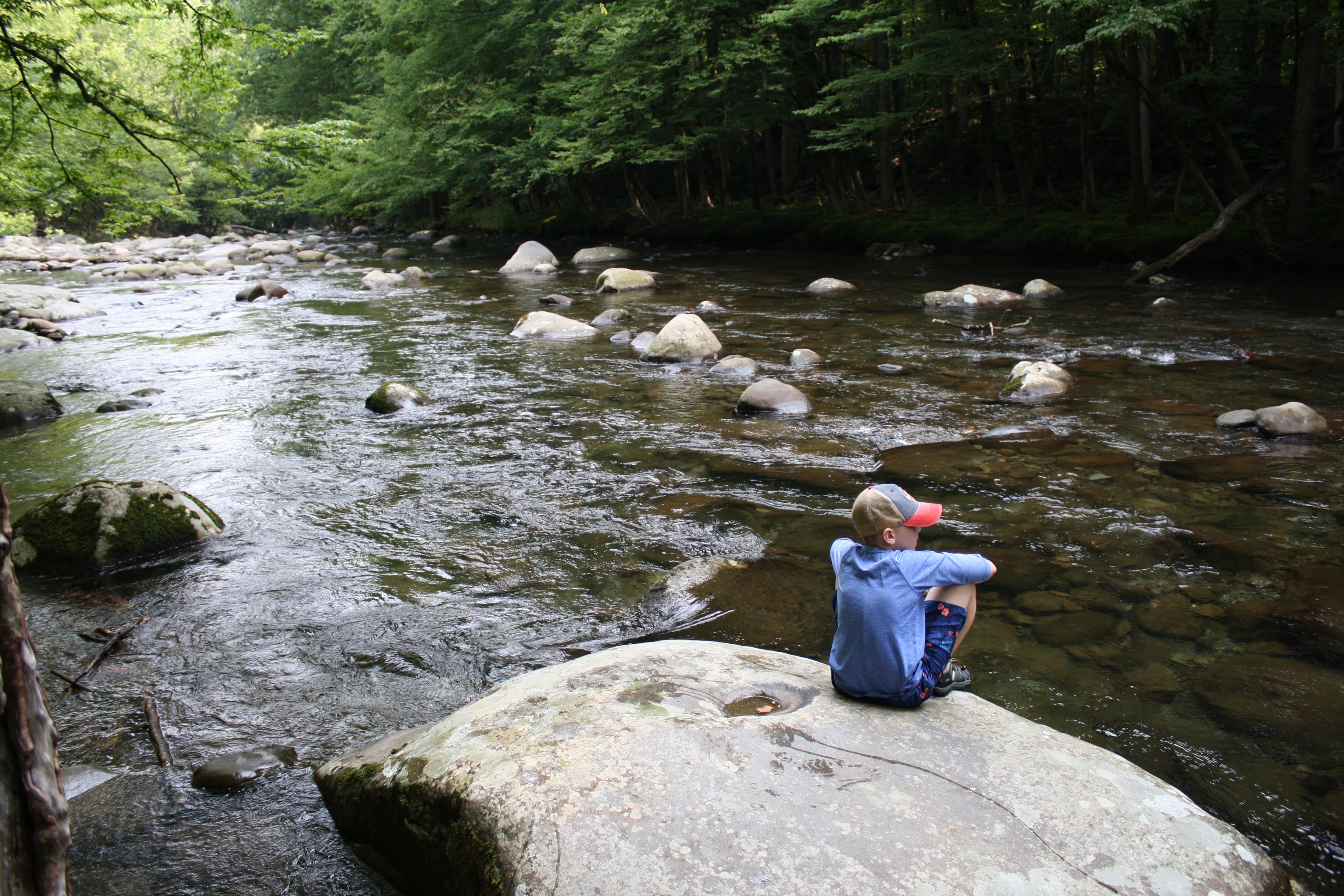 Looking out over Little Pigeon River (Great Smokey...