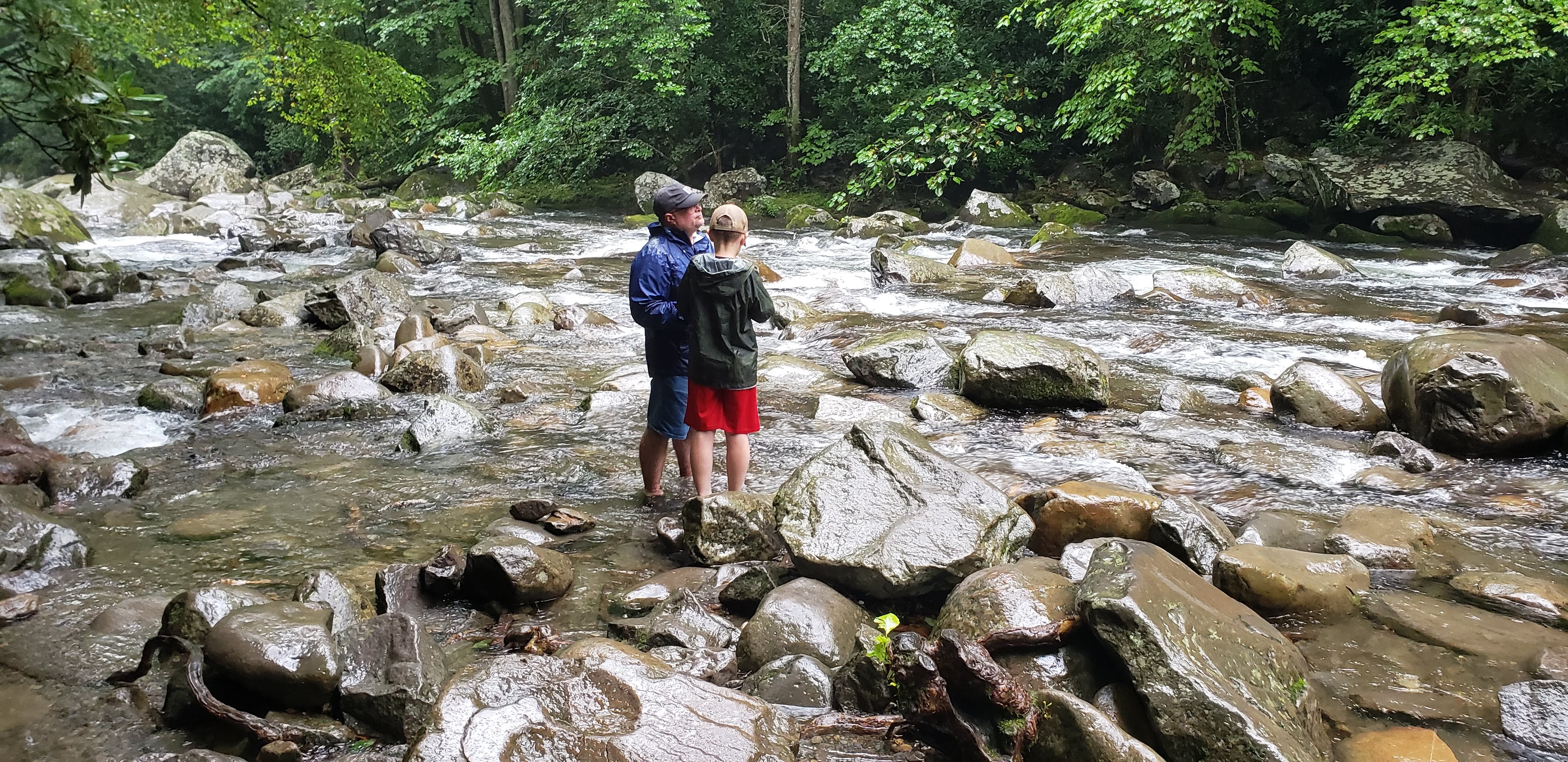 Exploring the river near Midnight Hole in the rain...