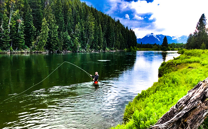 Fly fishing in the Snake River! Clear, beautiful s...