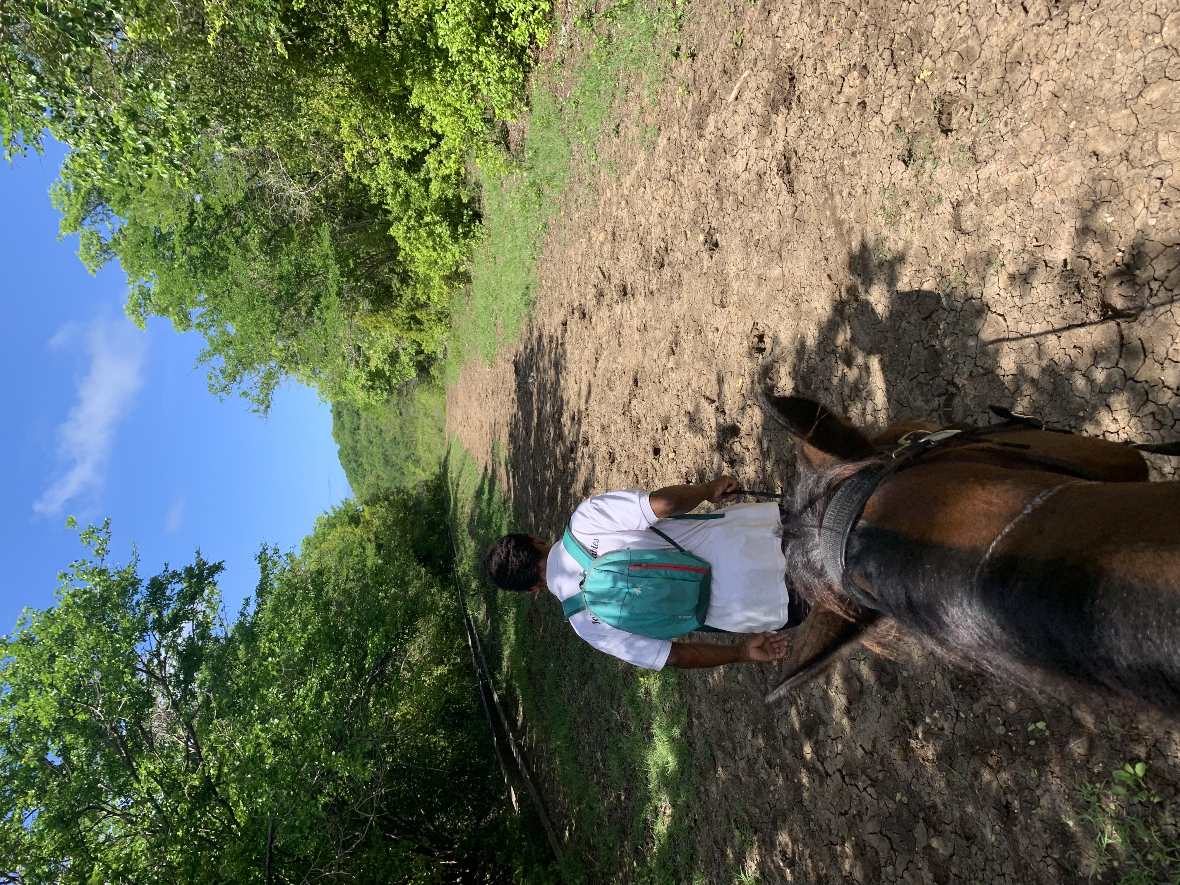 Horseback ride down to the beach in St. Lucia!...