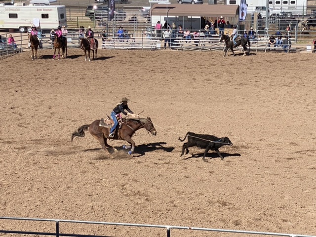 Dutchman Rodeo in Scottsdale, AZ...
