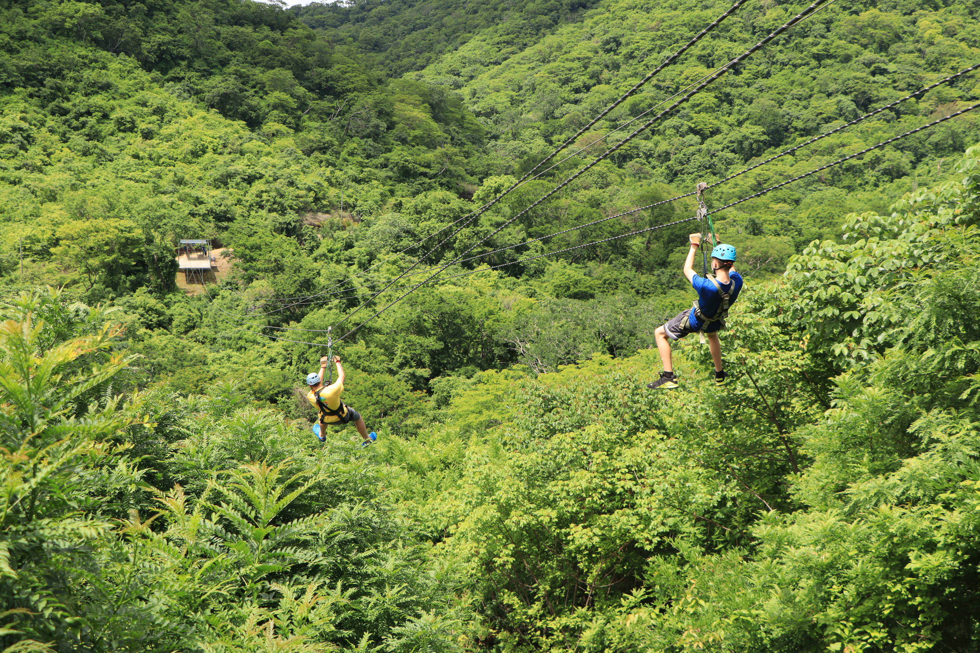 Zip lining is the way to see the rain forests of C...