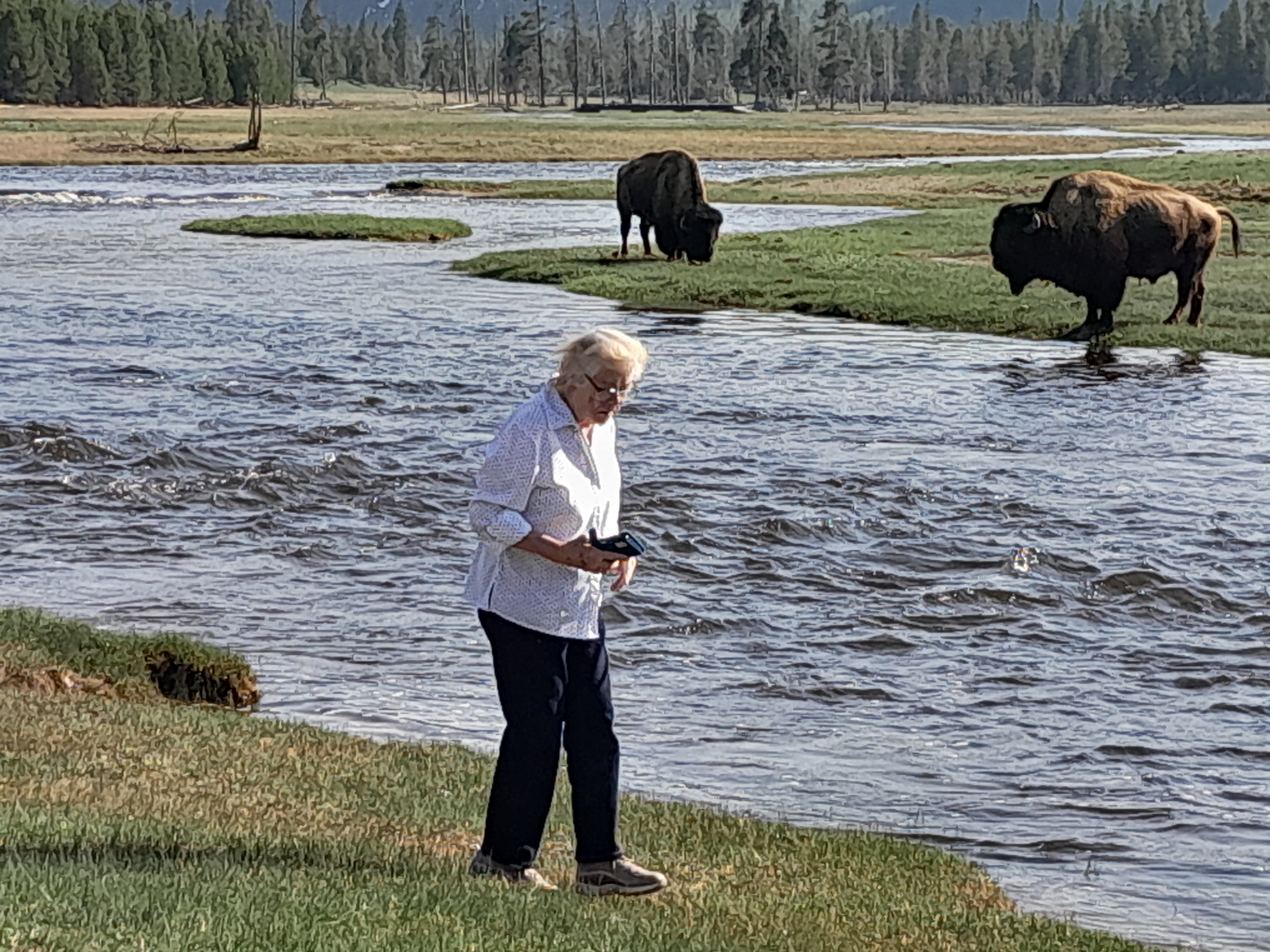 84 yr old mom finally seeing some wildlife on our ...