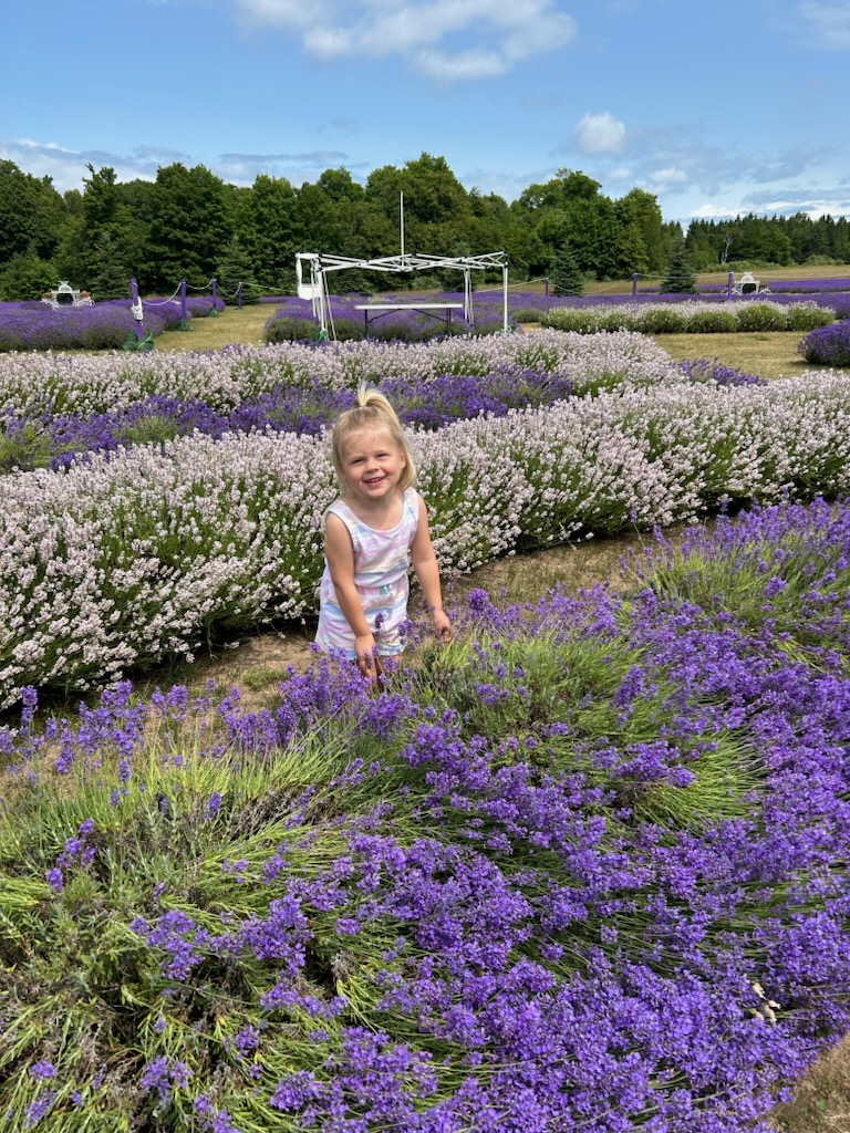 Loving the lavendar fields...