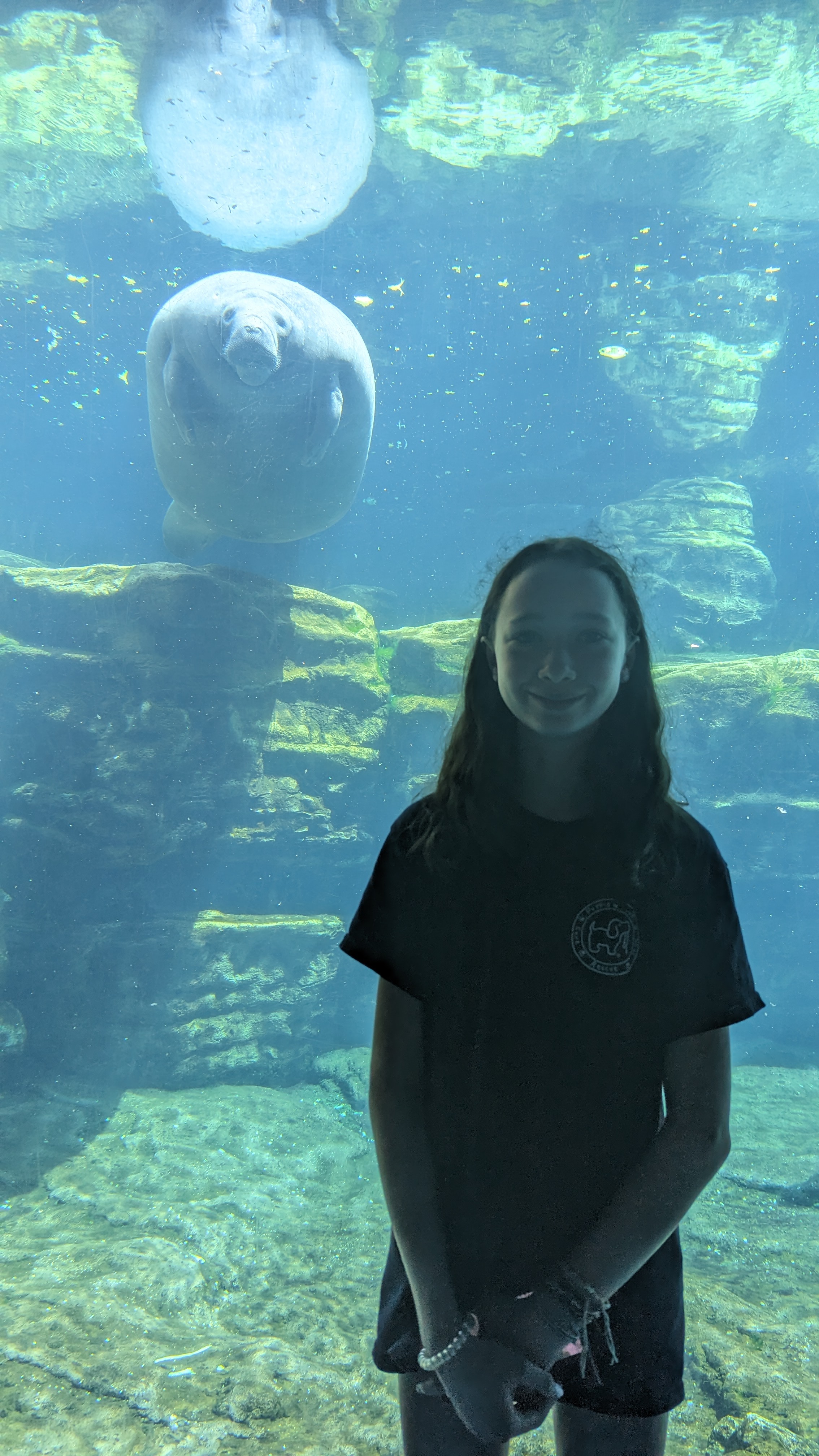 Daughter and a Manatee posing for a picture at Sea world Orlando.